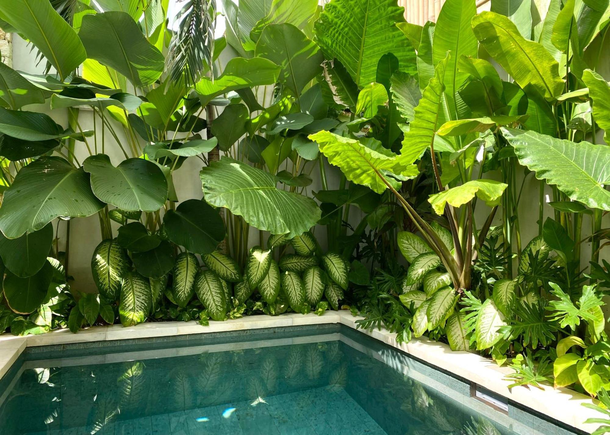 Uluwatu Alma Bingin Boutique Hotel מראה חיצוני תמונה